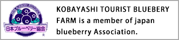 Kobayashikanko Blueberry Orchards is a member of Japan Blueberry Association.