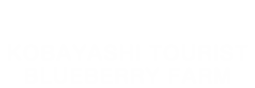 Kobayashikanko Blueberry Orchards